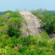 PhD Student Accidentally Discovers Ancient Mayan City