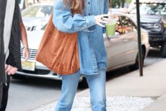 The $56 Gap Bag I'm Buying to Emulate Dakota Johnson's $1190 Version