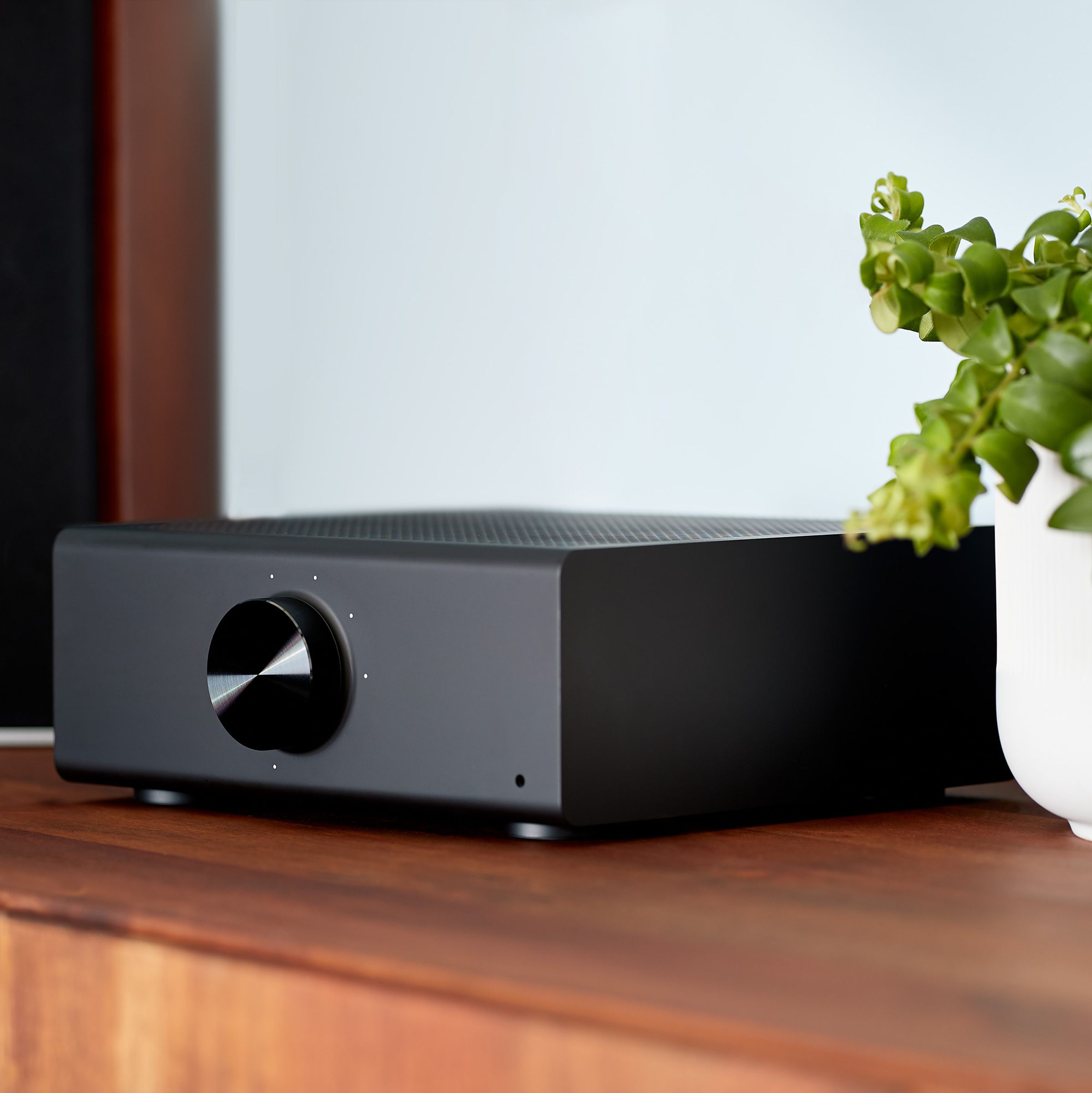 The Echo Link Amp on a wooden side table next to a potted plant.