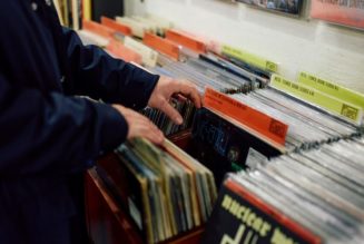 Vinyl Record Sales Experience 33% Drop in 2024