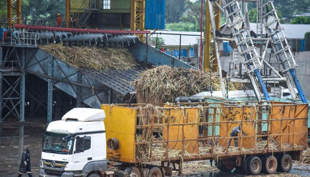 West Kenya Sugar eyes new Sh3.8bn distillery