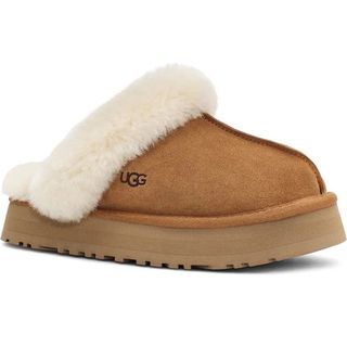 Disquette Slipper