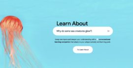 Google’s AI ‘learning companion’ takes chatbot answers a step further