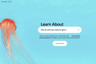 Google’s AI ‘learning companion’ takes chatbot answers a step further