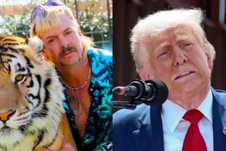 Joe Exotic asks Trump to appoint him as head of Fish and Wildlife Service