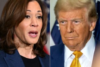 Kamala Harris' Calm, Donald Trump's Fury Seen In Campaign Stretch