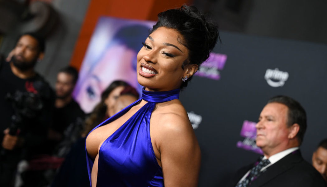 Megan Thee Stallion Hits YouTube Blogger Milagro Gramz With Lawsuit For Alleged Cyberstalking & Sharing A Deepfake Porn Video