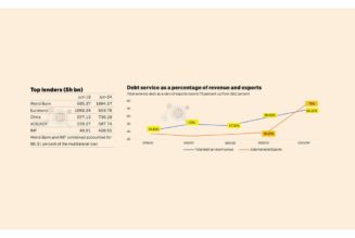 World Bank, IMF loans more than double to a record 43.3pc of foreign credit