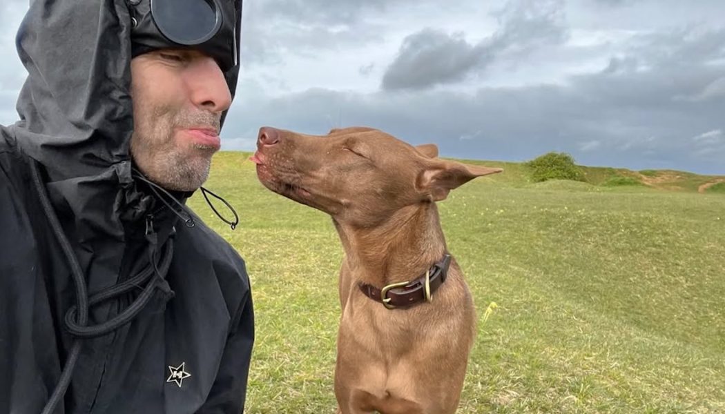 And after all, you're my furball: Liam Gallagher receives PETA award for animal adoption awareness