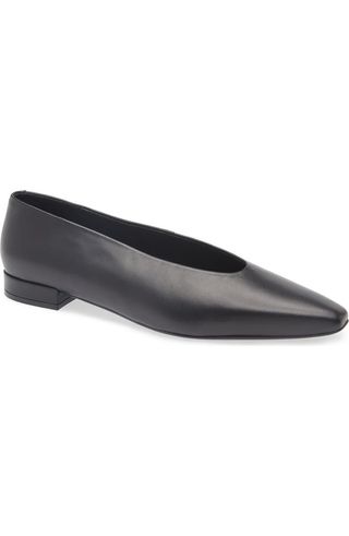 Hinted Pointed Toe Flats