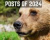 Atlas & Boots' top Instagram posts of 2024 | Atlas & Boots