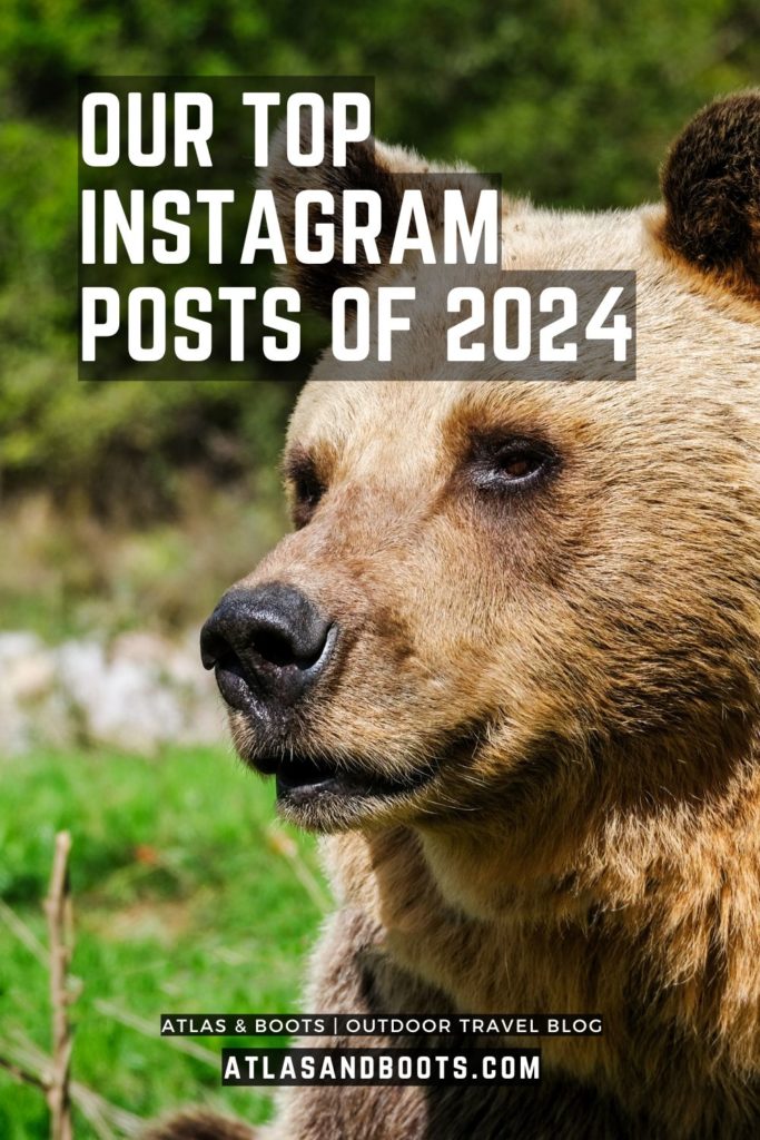 Our top Instagram posts of 2024 Pinterest pin