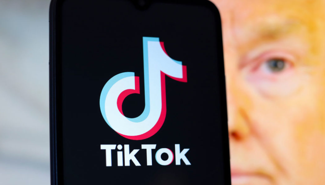 Donald Trump Asks Supreme Court To Pause TikTok Ban, Social Media Sees The Jig