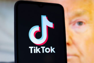 Donald Trump Asks Supreme Court To Pause TikTok Ban, Social Media Sees The Jig