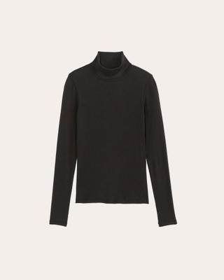 Everlane The Luxe Rib Turtleneck