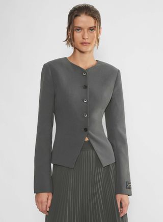 Aritzia, Wilfred regal blazer