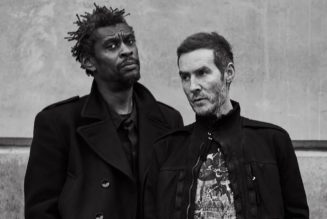 Massive Attack turned down Coachella due to environmental impact