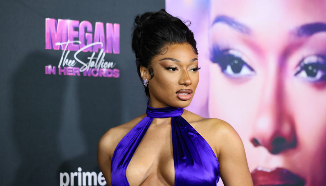 Megan Thee Stallion Requests Restraining Order Against Imprisoned Tory Lanez