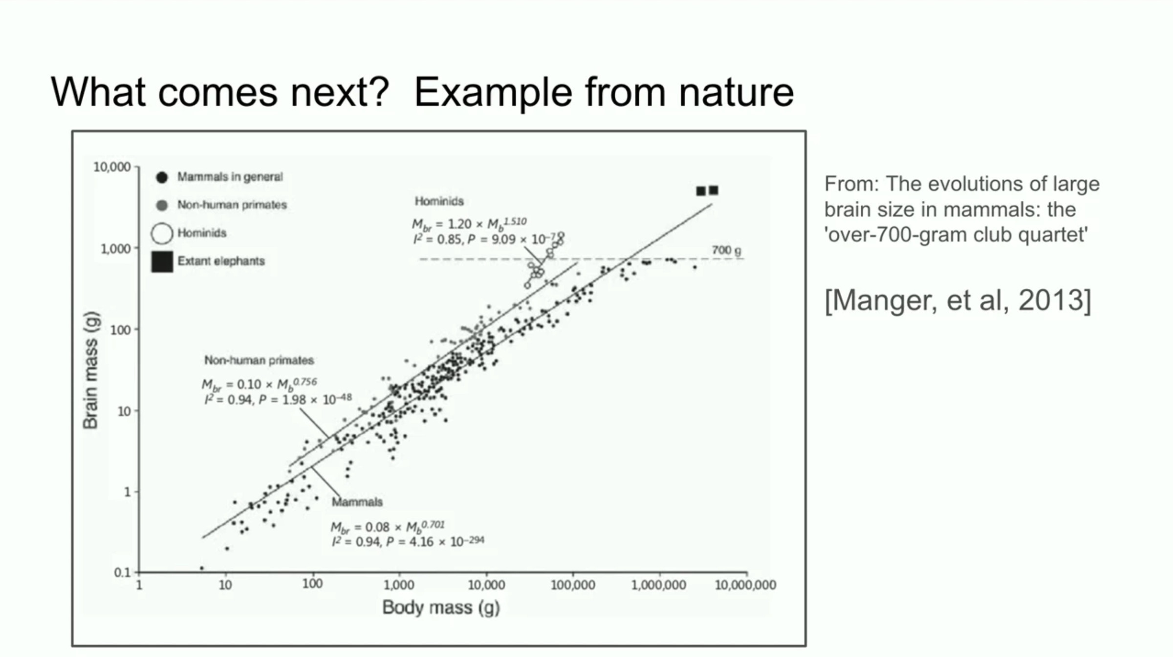 A slide that compares the scaling of AI to evolutionary biology.