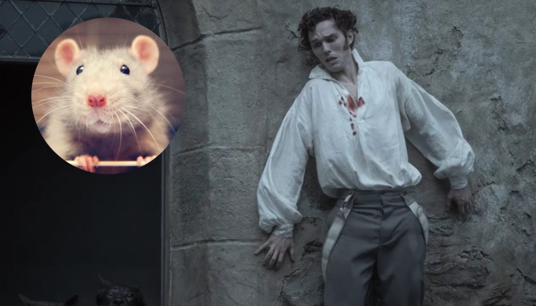 PETA to protest Nosferatu for promoting "shameful stereotypes" of rats