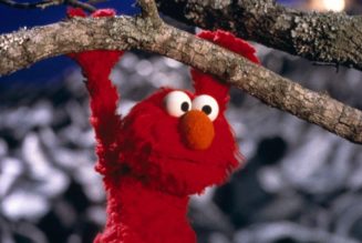 Sesame Street will no longer air new episodes on HBO and Max as deal expires