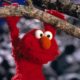 Sesame Street will no longer air new episodes on HBO and Max as deal expires