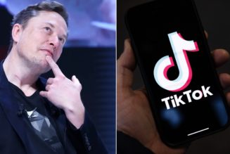 China Considers Selling TikTok to Elon Musk: Report