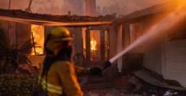 How to Help the Victims of the Los Angeles Wildfires: Donation Links and Fundraising