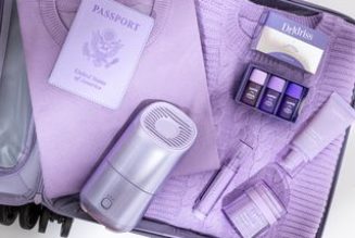 Instagram's Fave Derm Says This Device Is Her Best-Kept Travel Secret for Kicking Dry, Irritated Skin