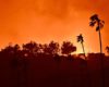 Los Angeles Fires Force Evacuations and Impact Art Institutions