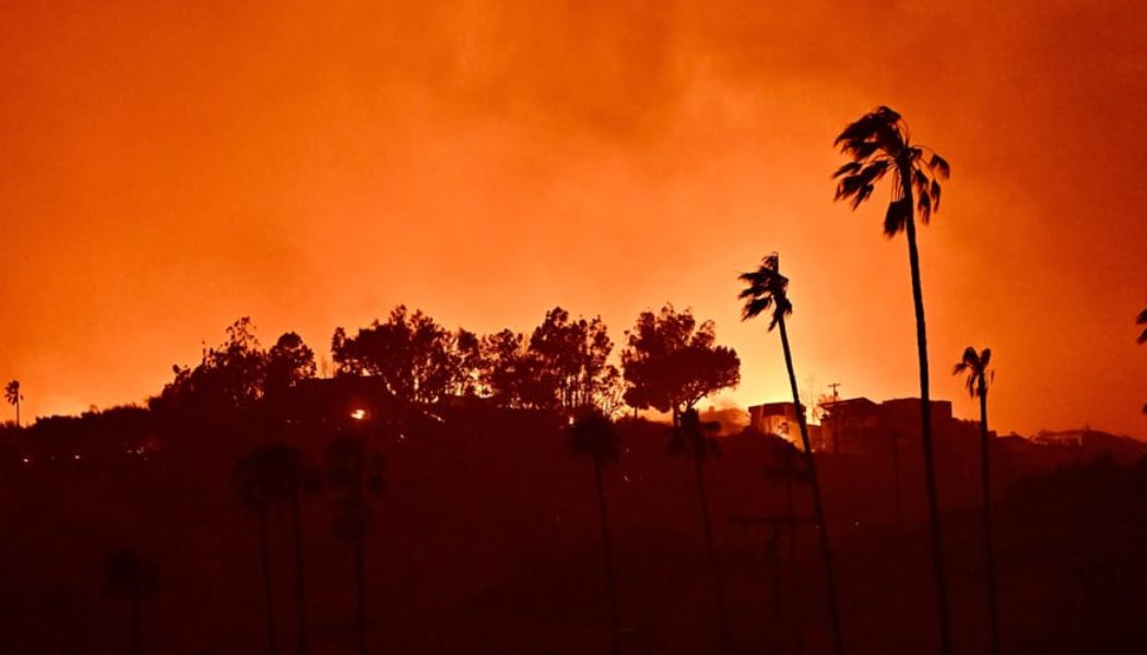 Los Angeles Fires Force Evacuations and Impact Art Institutions