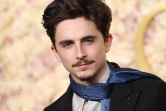 'SNL' Welcomes Timothée Chalamet as Host and Musical Guest