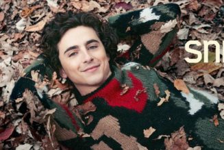 Timothée Chalamet to host, serve as musical guest on SNL