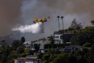 The drone pilot who took out an LA firefighting plane pleads guilty to escape jail